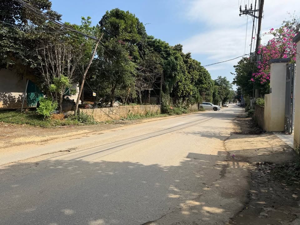 Bán đất H. Phù Cát, T. Bình Định - Ảnh 3