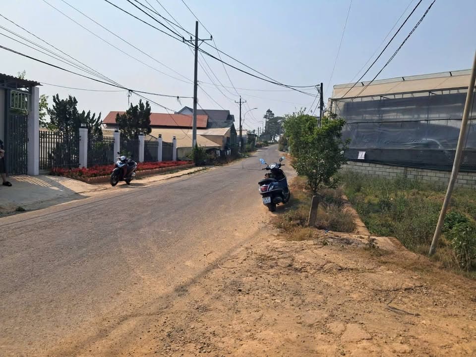 Bán đất Đ. Nguyễn Hoàng, Tp. Đà Lạt, T. Lâm Đồng - Ảnh 2