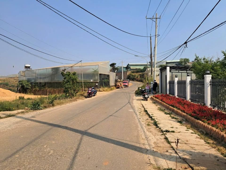 Bán đất Đ. Nguyễn Hoàng, Tp. Đà Lạt, T. Lâm Đồng - Ảnh 3