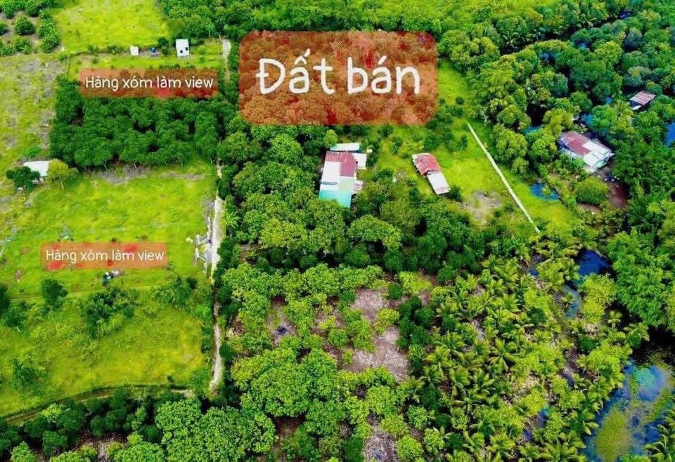 Bán đất Đ. Bầu Trâm, Tp. Long Khánh, T. Đồng Nai - Ảnh 2