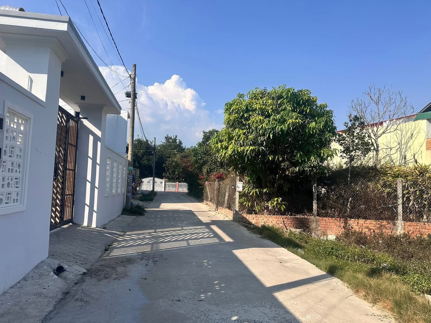 Bán đất Đ. Nguyễn Chí Thanh, Tt. Thạnh Mỹ, H. Đơn Dương, T. Lâm Đồng - Ảnh 3