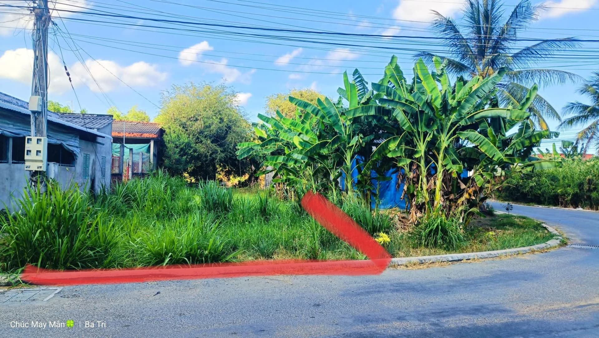 Bán đất H. Ba Tri, T. Bến Tre - Ảnh 3