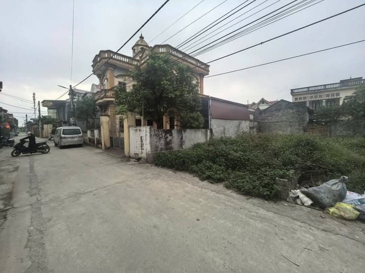 Bán đất X. Vân Từ, H. Phú Xuyên, Tp. Hà Nội - Ảnh 2