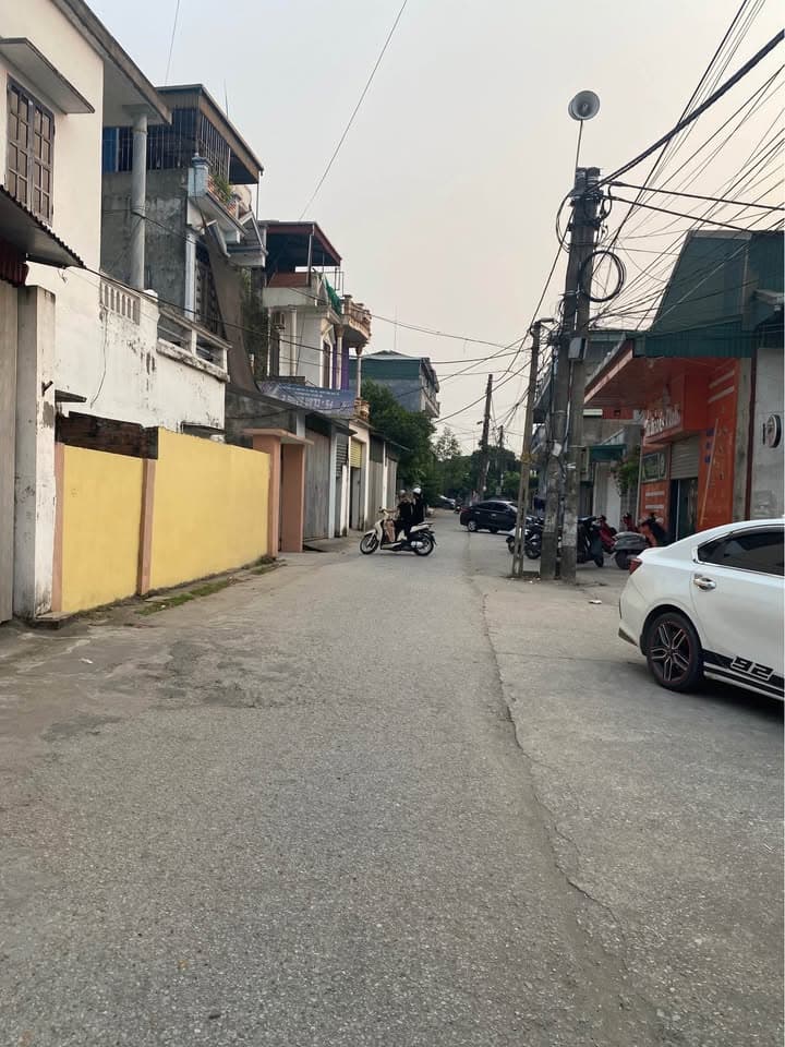 Bán nhà riêng X. Tân Bình, Tp. Thái Bình, T. Thái Bình - Ảnh 2