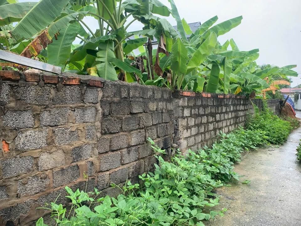 Bán nhà riêng X. Quảng Định, H. Quảng Xương, T. Thanh Hóa - Ảnh 3