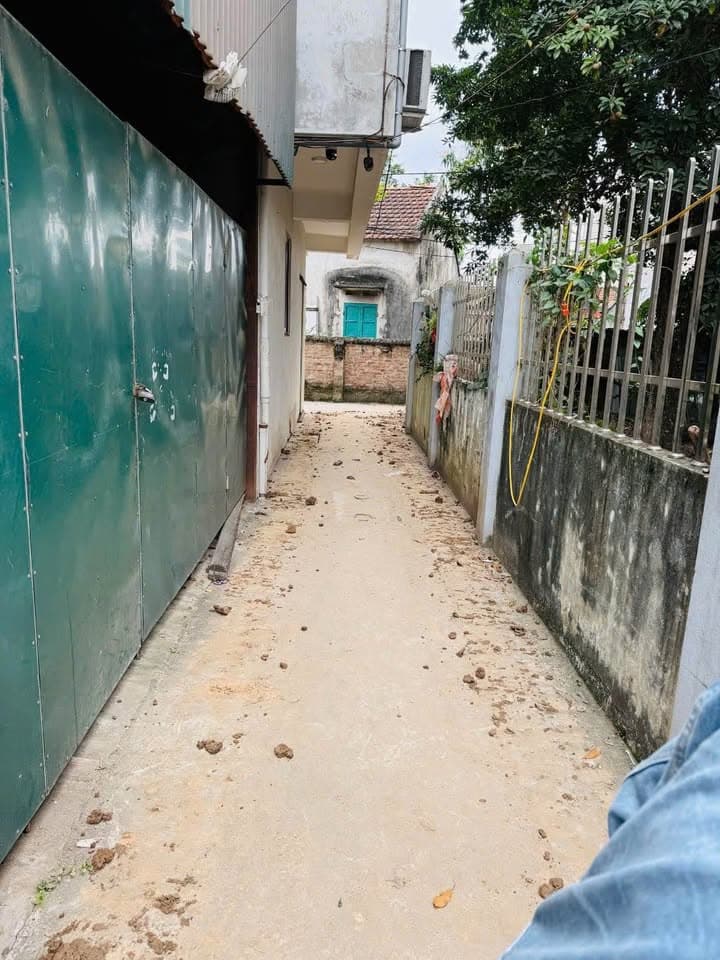 Bán đất X. Tân Lập, H. Đan Phượng, Tp. Hà Nội