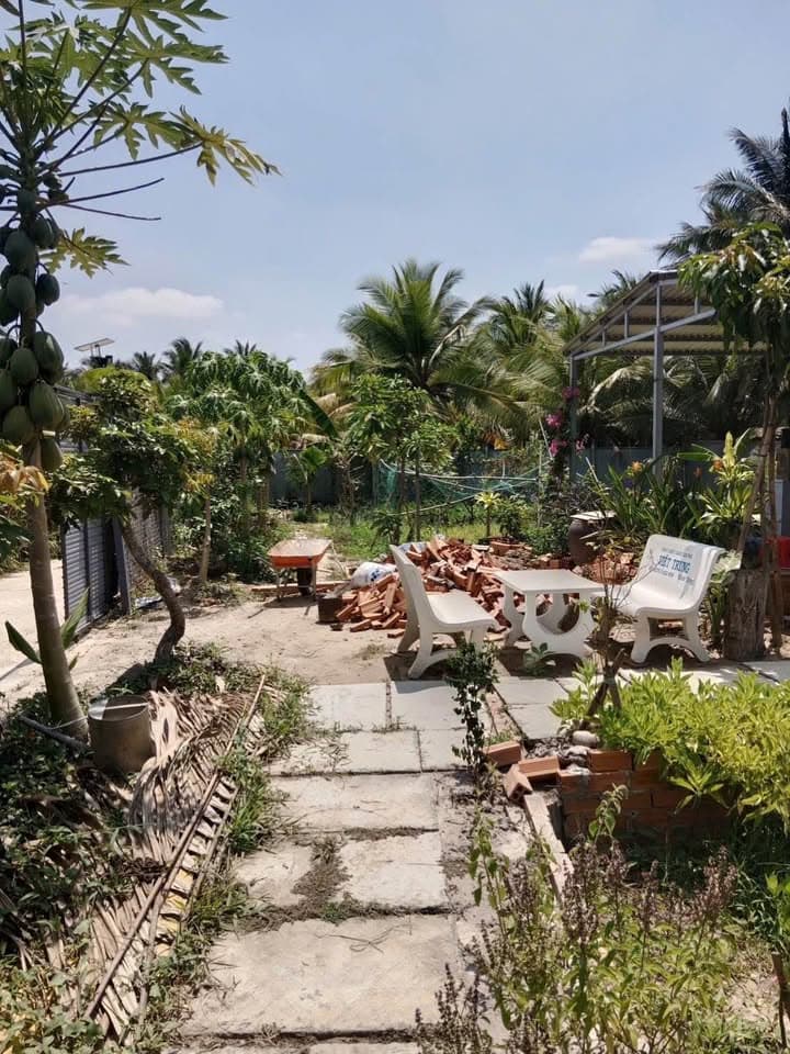 Bán đất Đ. Phú Khương, P. Phú Khương, Tp. Bến Tre, T. Bến Tre - Ảnh 2