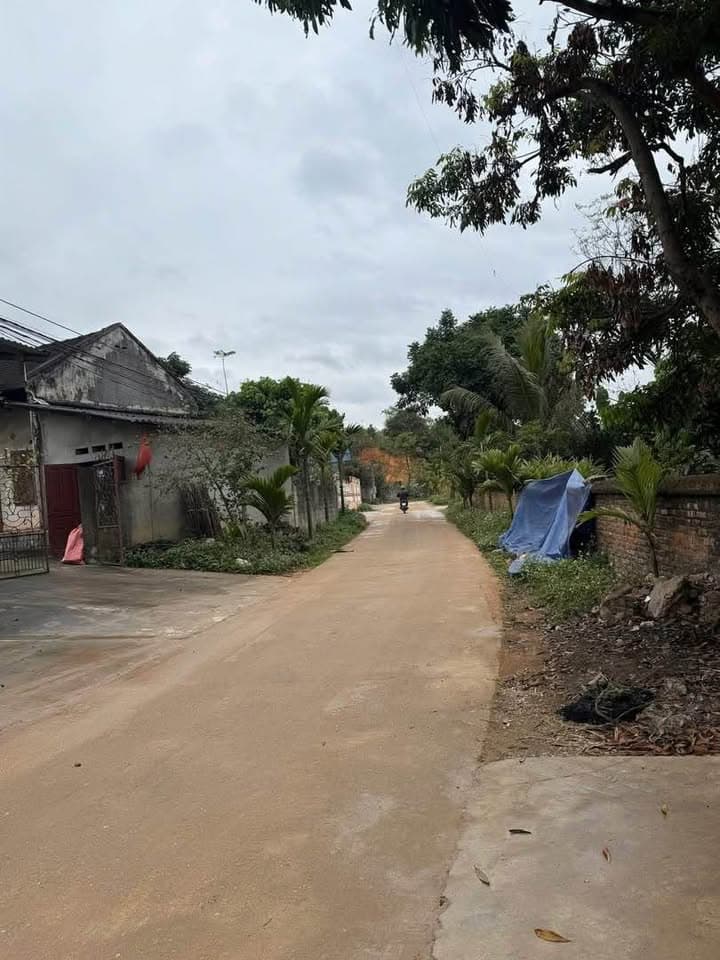 Bán đất X. Cổ Lũng, H. Phú Lương, T. Thái Nguyên - Ảnh 2