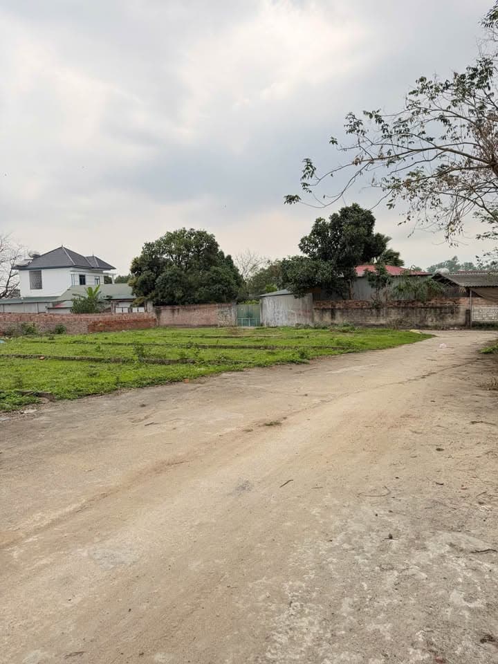 Bán đất X. Hoàng Hoa, H. Tam Dương, T. Vĩnh Phúc