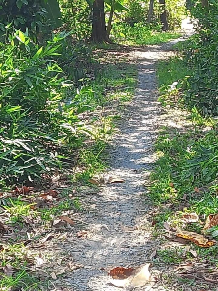 Bán đất Tt. Tiên Thủy, H. Châu Thành, T. Bến Tre - Ảnh 2