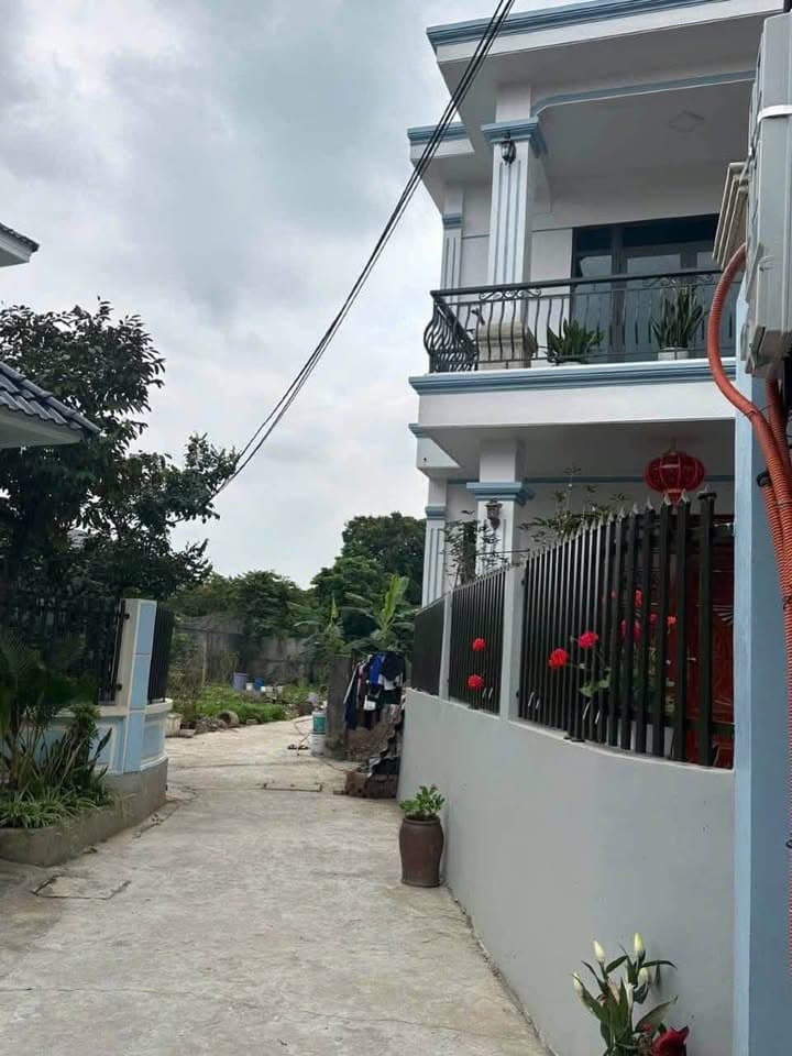 Bán đất X. Đông Hoàng, H. Đông Hưng, T. Thái Bình - Ảnh 2