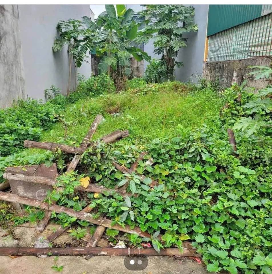 Bán đất Đ. Trần Hưng Đạo, P. Trần Hưng Đạo, Q. Hoàn Kiếm, Tp. Hà Nội