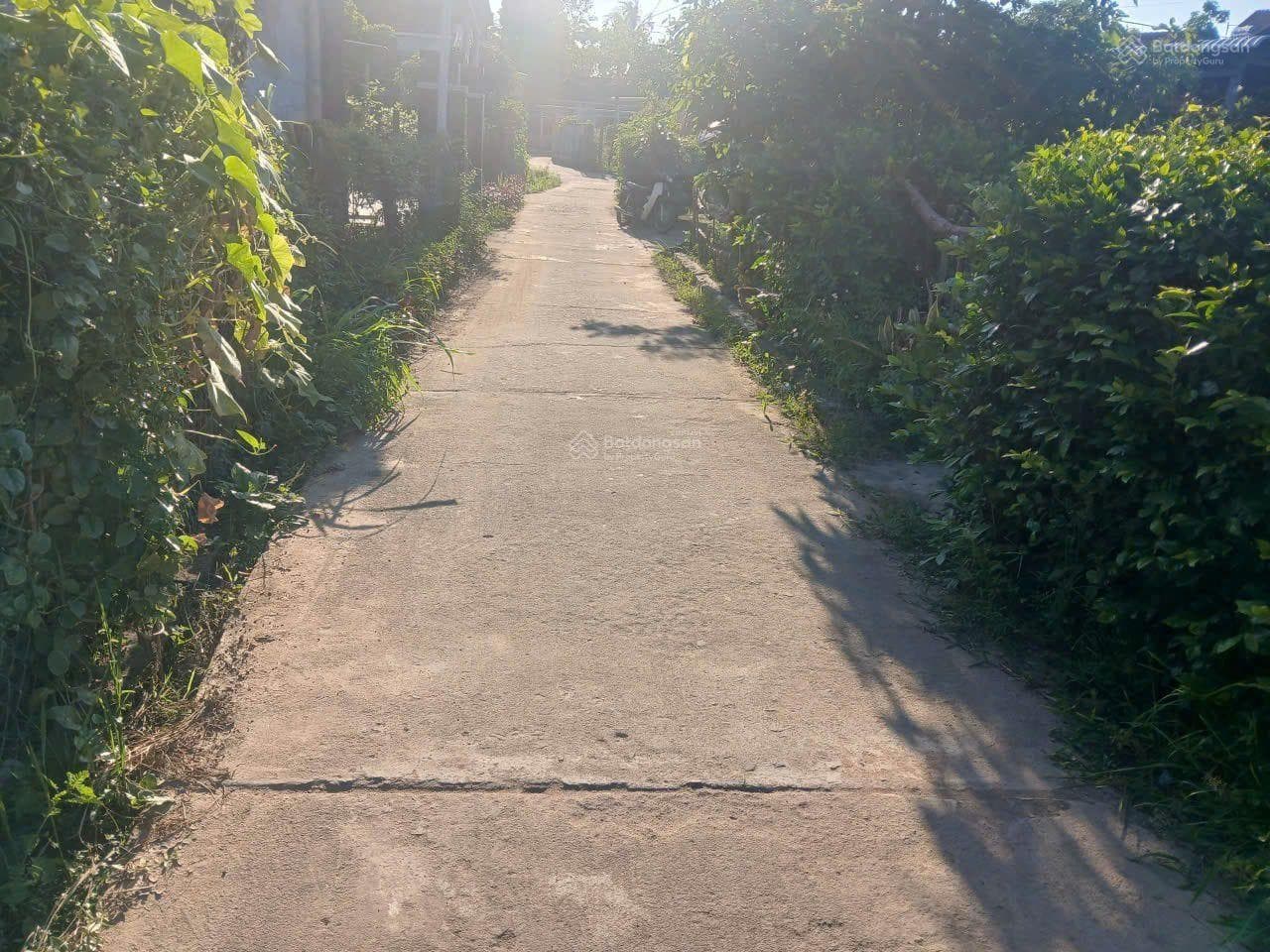 Bán đất X. Hòa Thịnh, H. Tây Hòa, T. Phú Yên - Ảnh 3