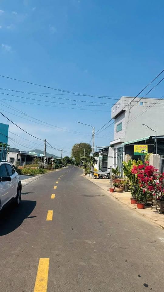 Bán đất Tt. Phước Hải, H. Đất Đỏ, T. Bà Rịa - Vũng Tàu - Ảnh 3