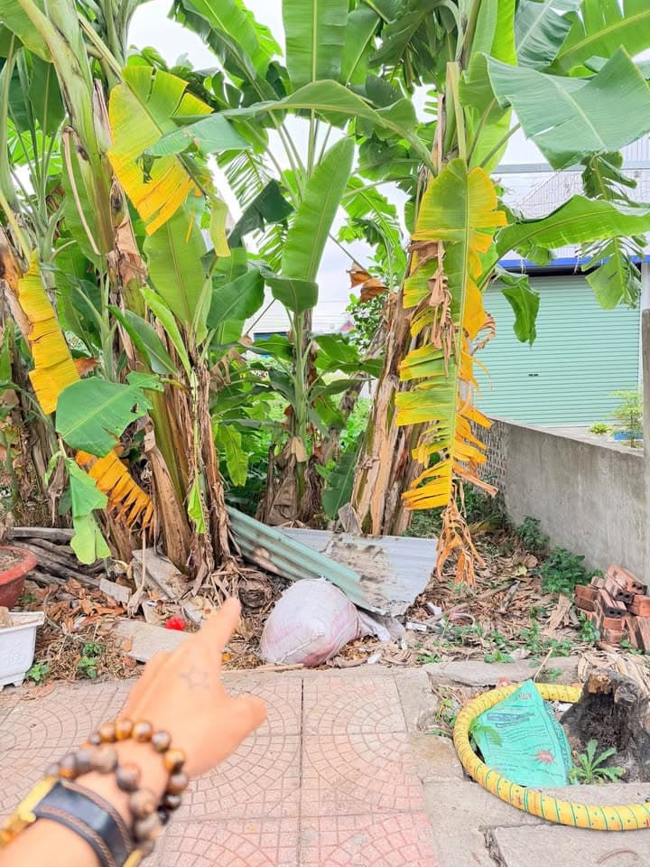 Bán đất X. Nam Sơn, H. An Dương, Tp. Hải Phòng - Ảnh 2