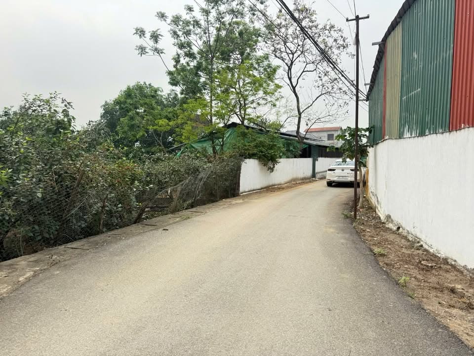 Bán đất X. Thanh Vân, H. Tam Dương, T. Vĩnh Phúc