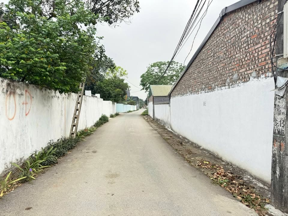 Bán đất X. Thanh Vân, H. Tam Dương, T. Vĩnh Phúc - Ảnh 2