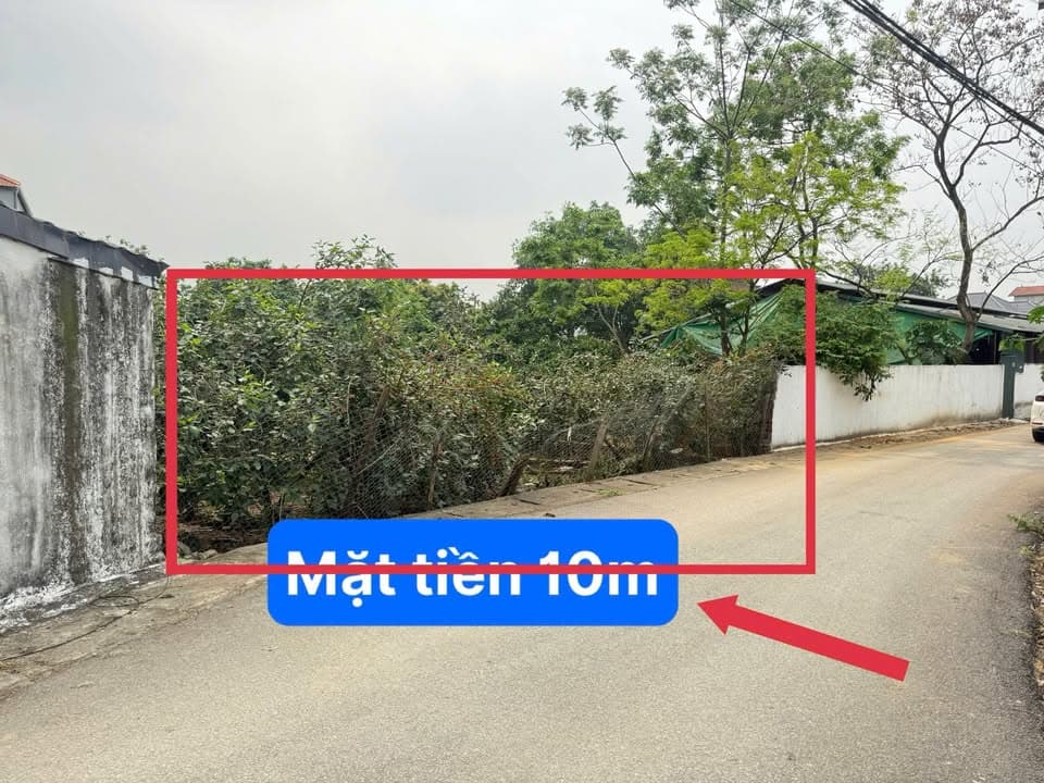 Bán đất X. Thanh Vân, H. Tam Dương, T. Vĩnh Phúc - Ảnh 3