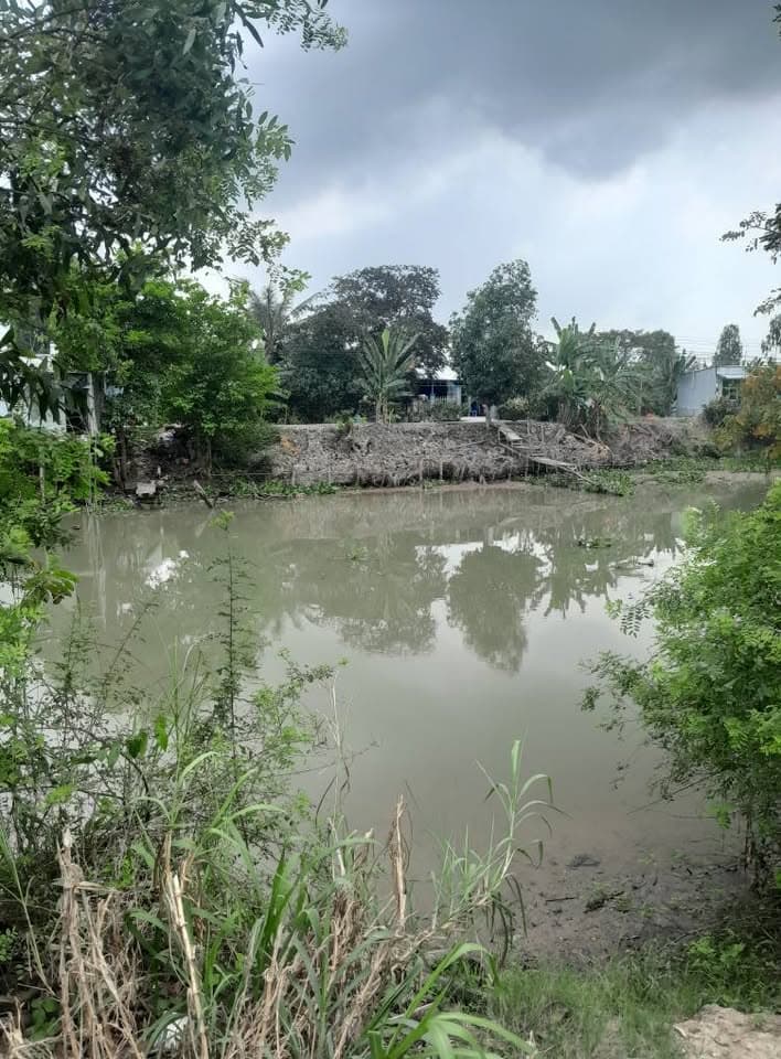 Bán đất X. Vĩnh Hanh, H. Châu Thành, T. An Giang - Ảnh 3