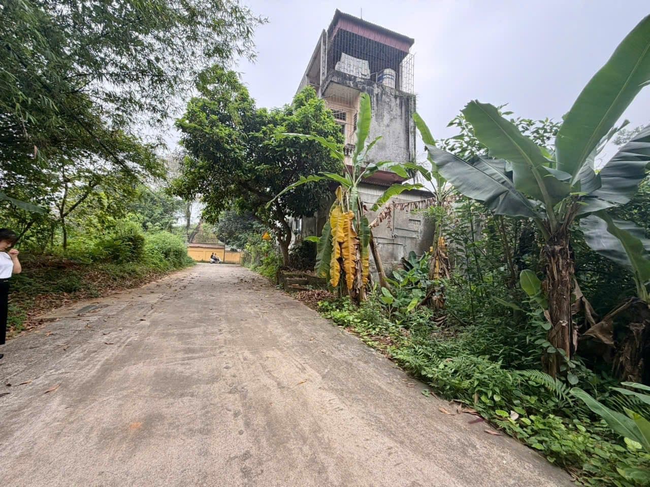 Bán đất Đ. Tùng Thiện, Tx. Sơn Tây, Tp. Hà Nội - Ảnh 2