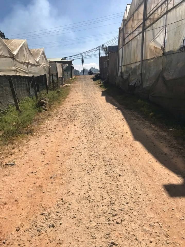 Bán đất P. 7, Tp. Đà Lạt, T. Lâm Đồng - Ảnh 2