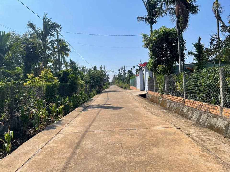 Bán đất Đ. Ea Kao, Tp. Buôn Ma Thuột, T. Đắk Lắk - Ảnh 2