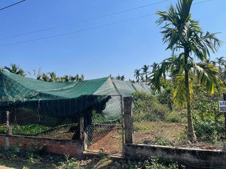 Bán đất Đ. Ea Kao, Tp. Buôn Ma Thuột, T. Đắk Lắk - Ảnh 3