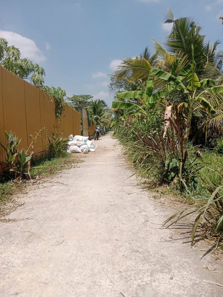 Bán đất X. Phú Hưng, Tp. Bến Tre, T. Bến Tre