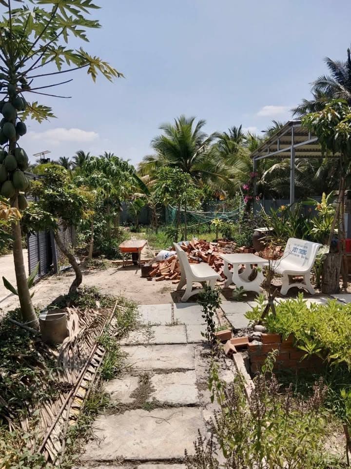 Bán đất X. Phú Hưng, Tp. Bến Tre, T. Bến Tre - Ảnh 2