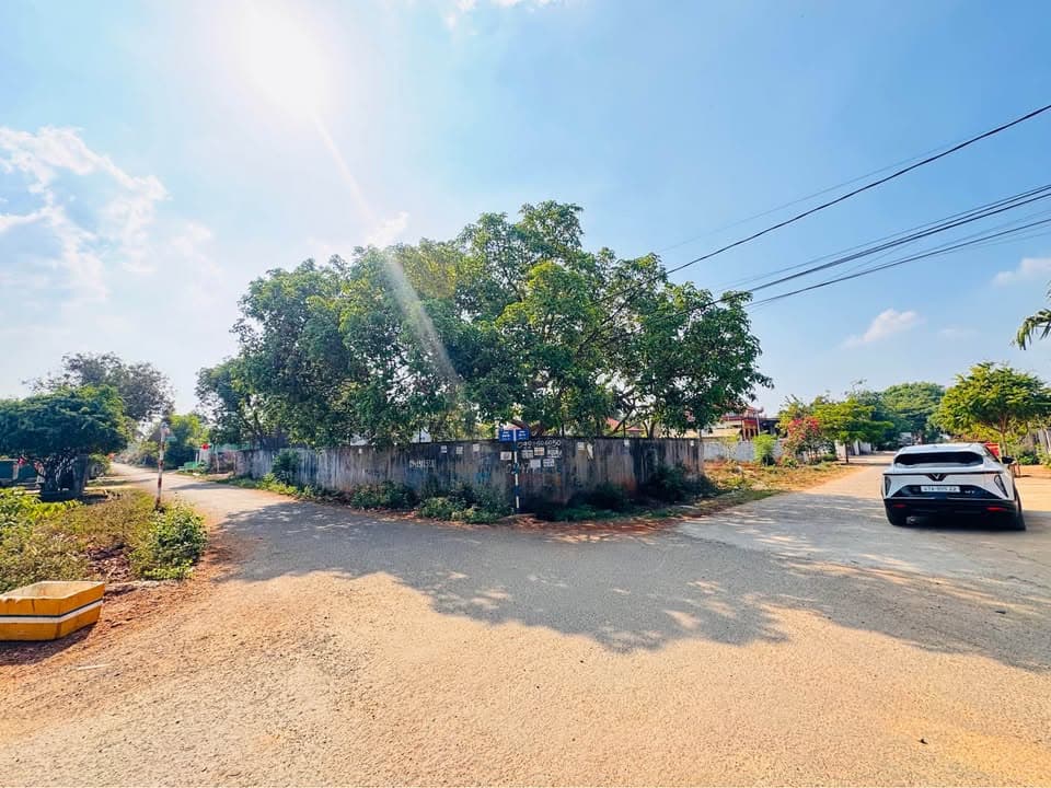 Bán đất Đ. Phan Huy Chú, Tp. Buôn Ma Thuột, T. Đắk Lắk - Ảnh 2