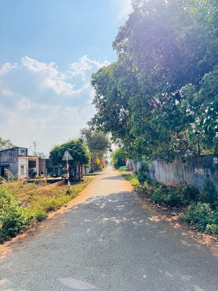 Bán đất Đ. Phan Huy Chú, Tp. Buôn Ma Thuột, T. Đắk Lắk - Ảnh 3