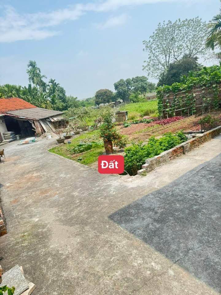 Bán đất X. Thọ Lộc, H. Phúc Thọ, Tp. Hà Nội - Ảnh 2