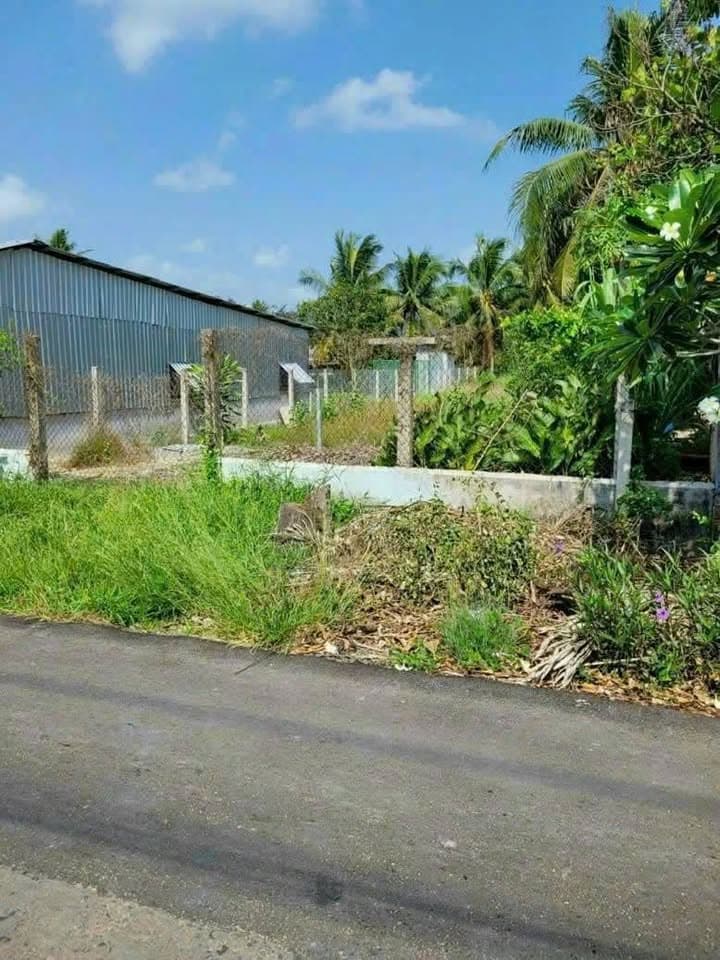 Bán đất X. Sơn Đông, Tp. Bến Tre, T. Bến Tre - Ảnh 2