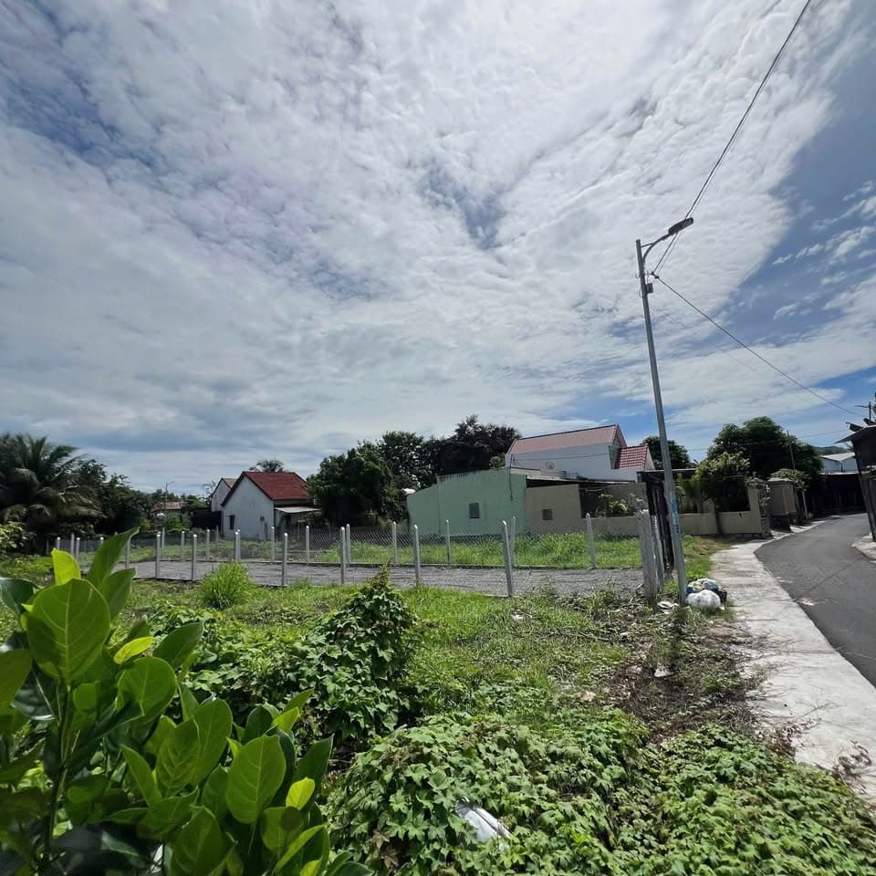 Bán đất Đ. Thanh Minh, H. Diên Khánh, T. Khánh Hòa - Ảnh 2