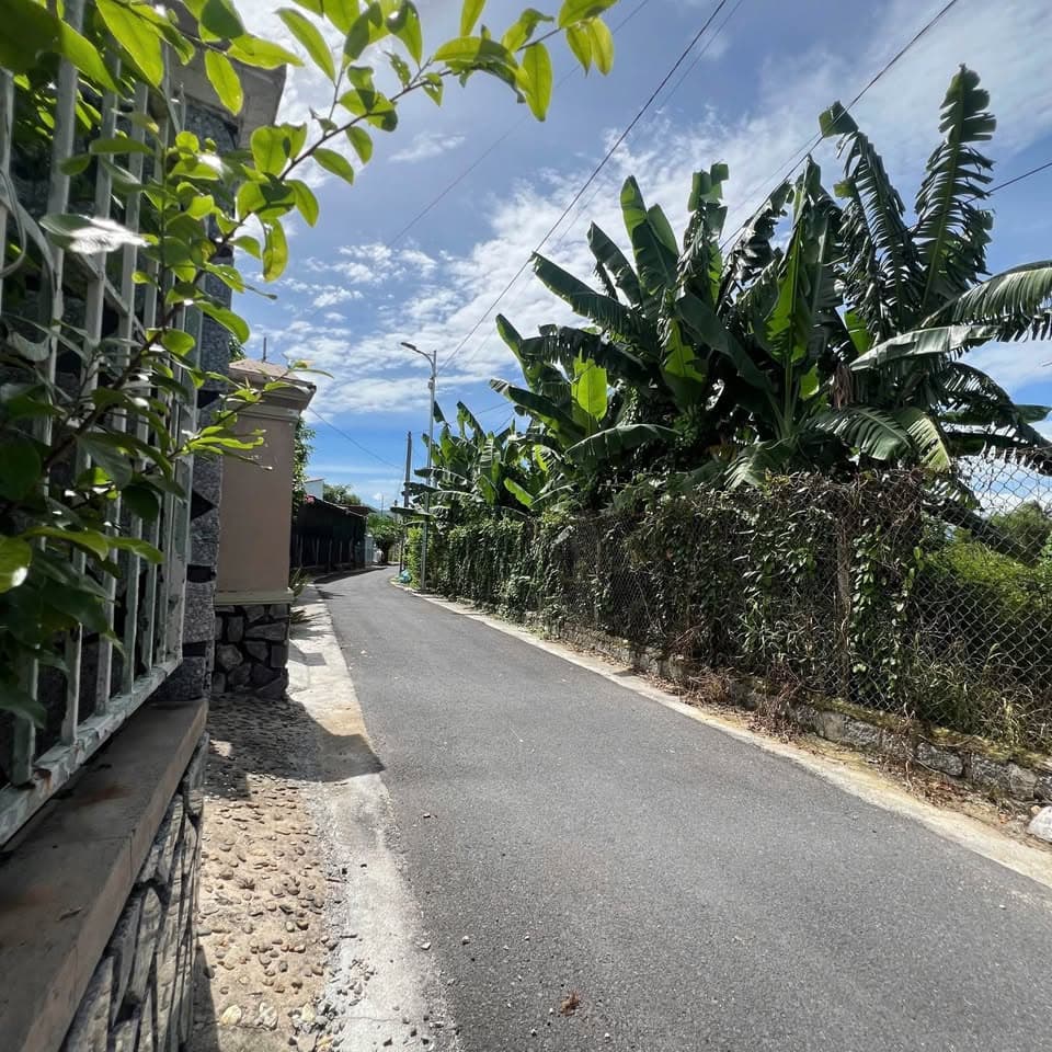 Bán đất Đ. Thanh Minh, H. Diên Khánh, T. Khánh Hòa - Ảnh 3