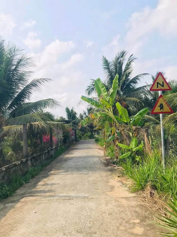 Bán đất X. Thành Triệu, H. Châu Thành, T. Bến Tre