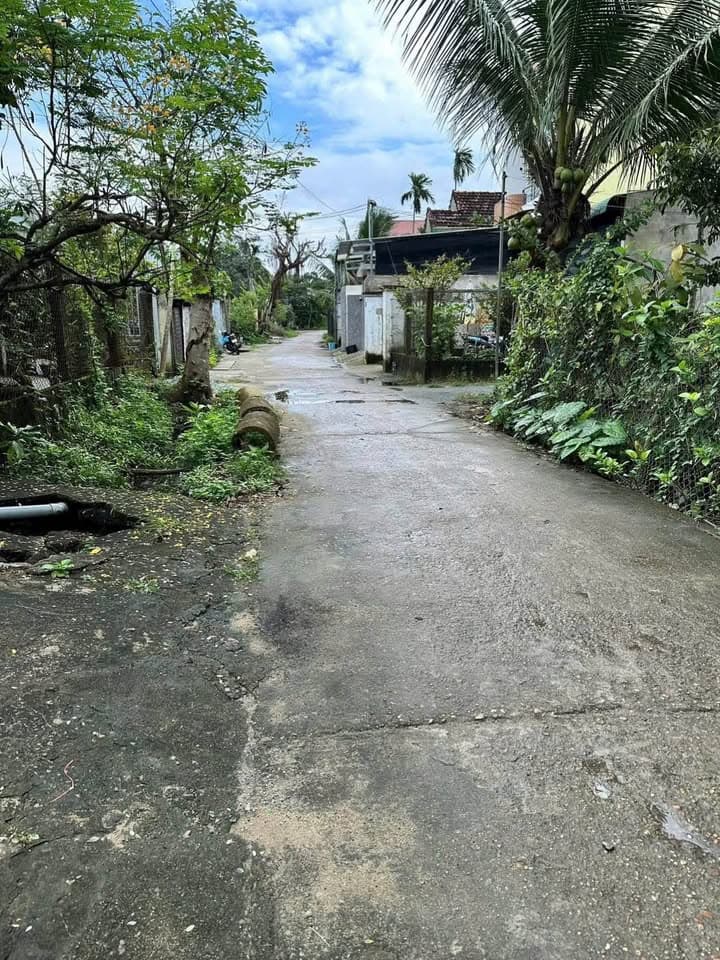 Bán nhà riêng P. Quảng Phú, Tp. Quảng Ngãi, T. Quảng Ngãi - Ảnh 3