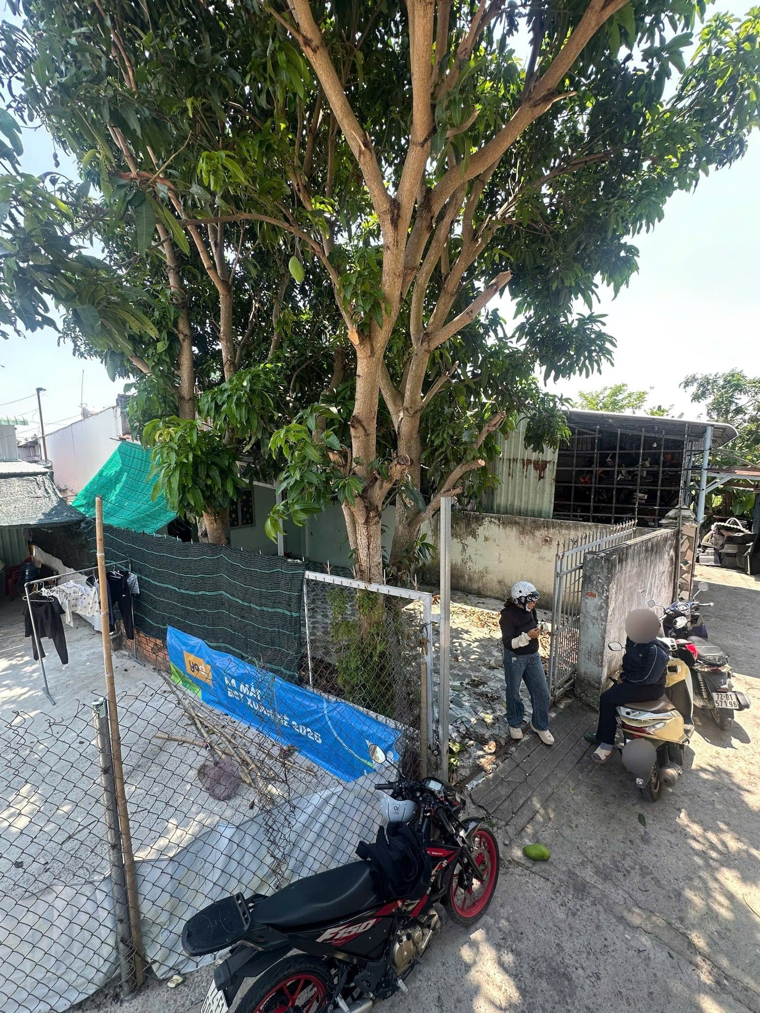 Bán đất Đ. Nguyễn Mạnh Hùng, P. Long Toàn, Tp. Bà Rịa, T. Bà Rịa - Vũng Tàu - Ảnh 3