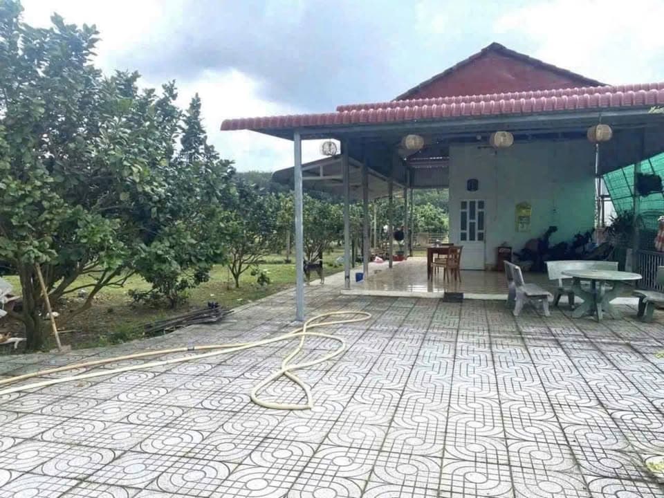 Bán đất P. Mỹ Phước, Tx. Bến Cát, T. Bình Dương - Ảnh 2