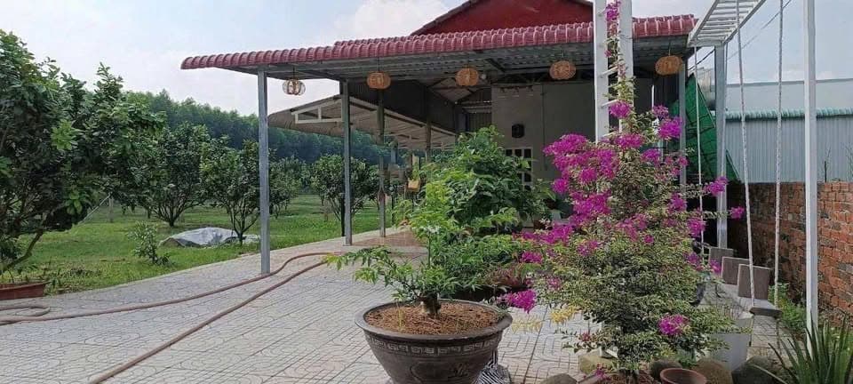 Bán đất P. Mỹ Phước, Tx. Bến Cát, T. Bình Dương - Ảnh 3