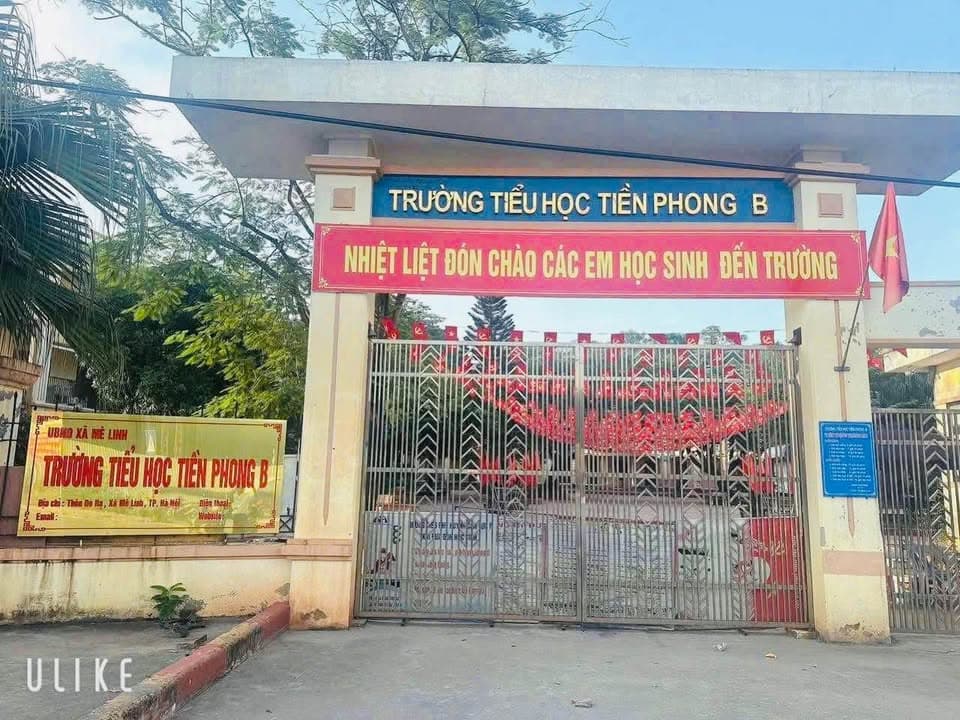 Bán đất X. Tiền Phong, H. Mê Linh, Tp. Hà Nội - Ảnh 2