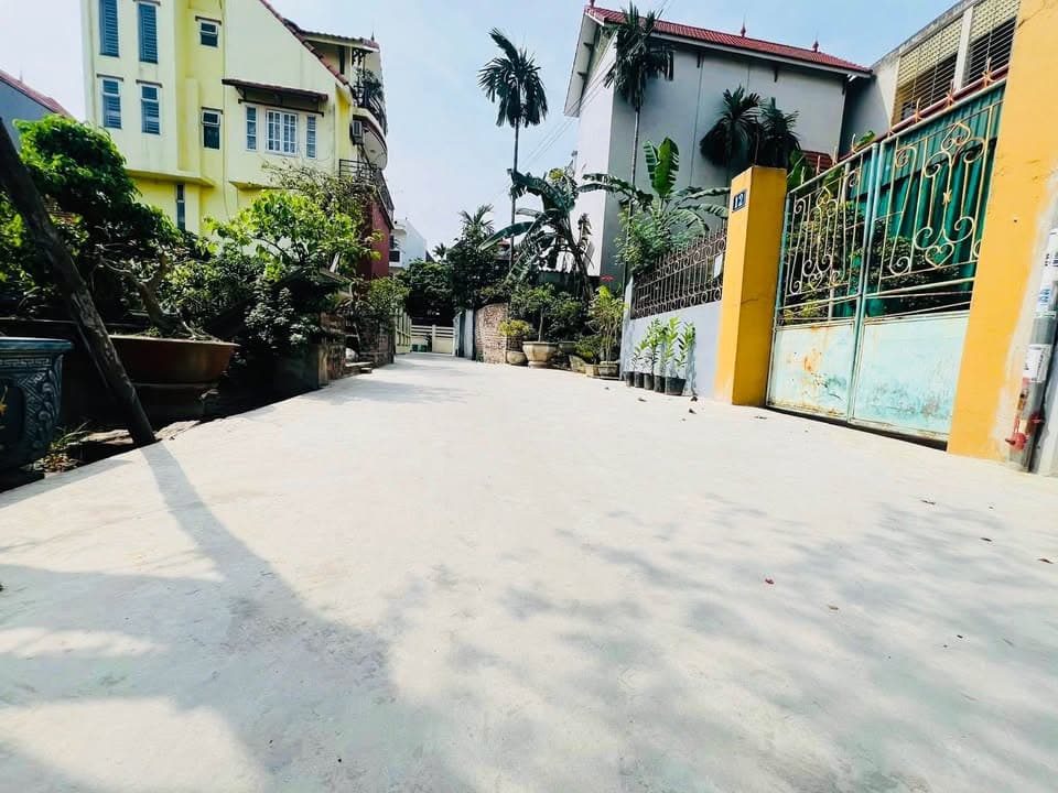 Bán đất X. Tiền Phong, H. Mê Linh, Tp. Hà Nội - Ảnh 3