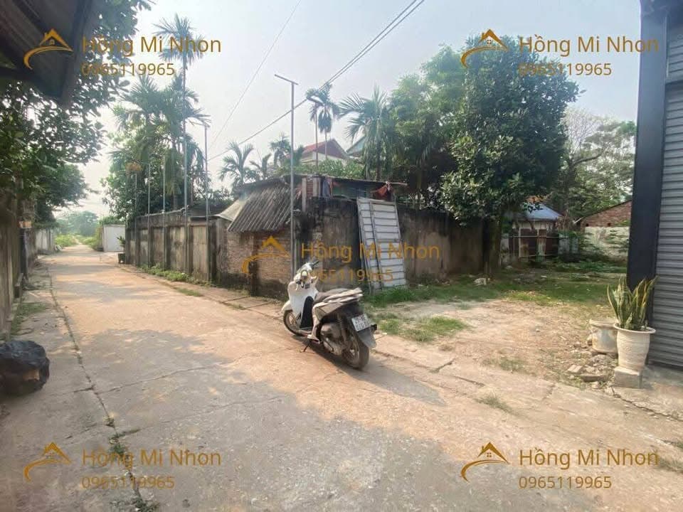 Bán đất X. Thụy Hương, H. Chương Mỹ, Tp. Hà Nội - Ảnh 2