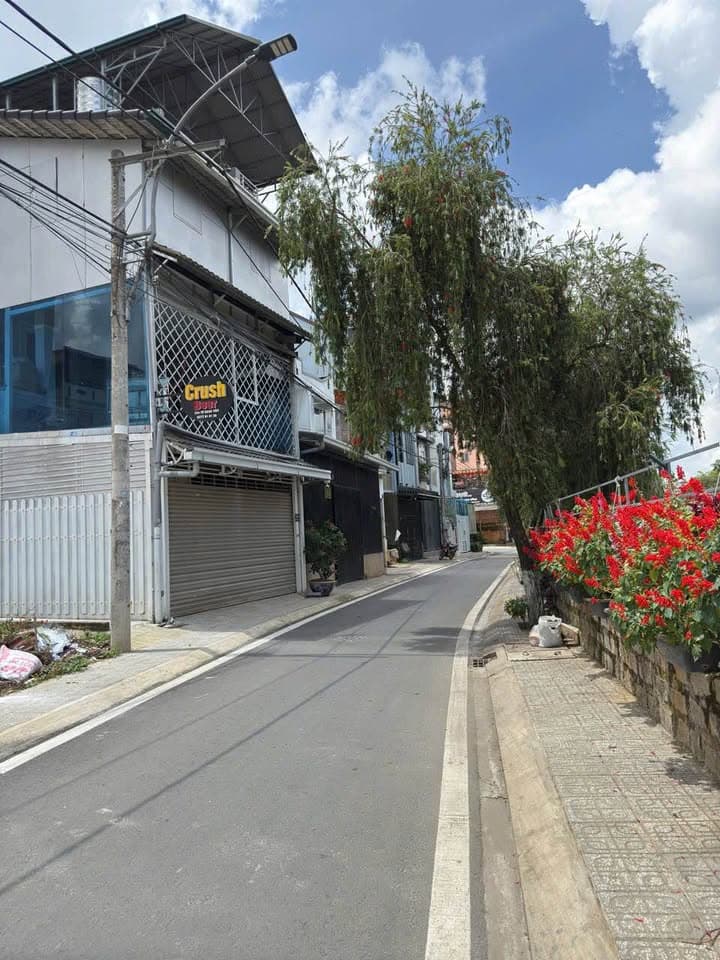 Bán đất Đ. Nguyễn Hữu Cảnh, Tp. Đà Lạt, T. Lâm Đồng - Ảnh 3