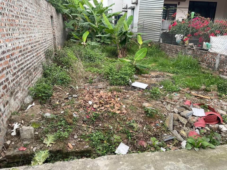 Bán đất X. Hiền Ninh, H. Sóc Sơn, Tp. Hà Nội