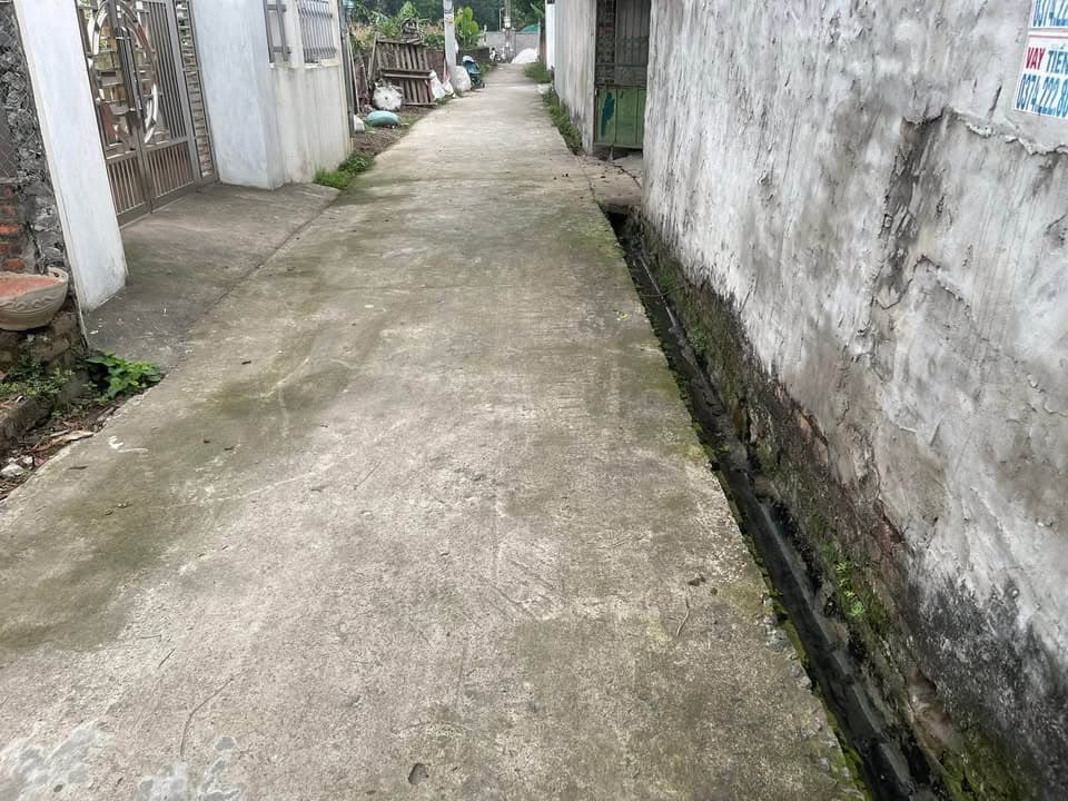 Bán đất X. Hiền Ninh, H. Sóc Sơn, Tp. Hà Nội - Ảnh 2