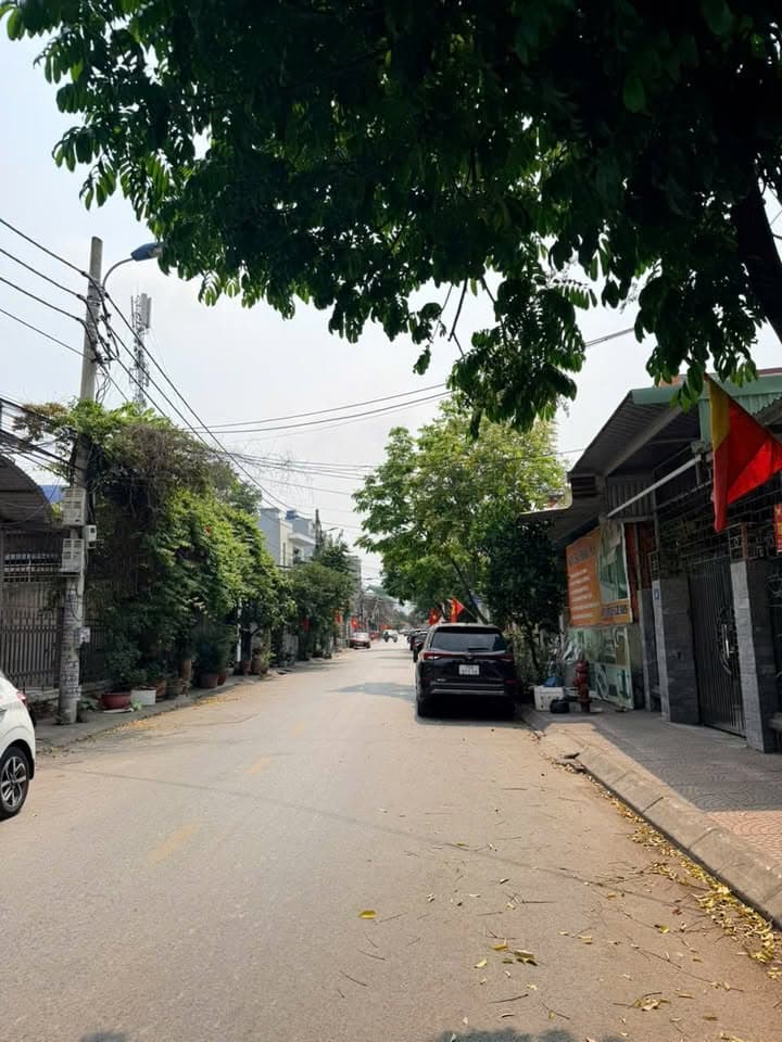 Bán đất Đ. Bùi Thị Tự Nhiên, Q. Hải An, Tp. Hải Phòng