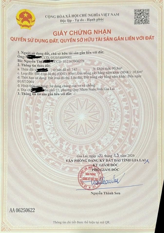 Bán đất P. Nhơn Bình, Tp. Quy Nhơn, T. Bình Định - Ảnh 2