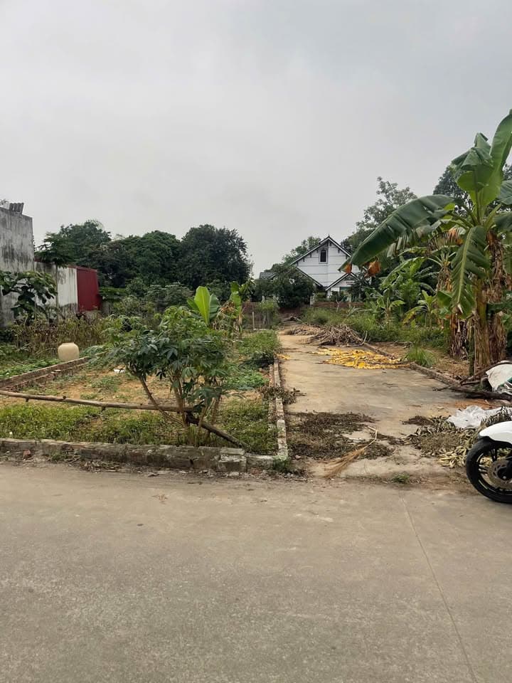 Bán đất Đ. Kim Anh, H. Sóc Sơn, Tp. Hà Nội - Ảnh 3