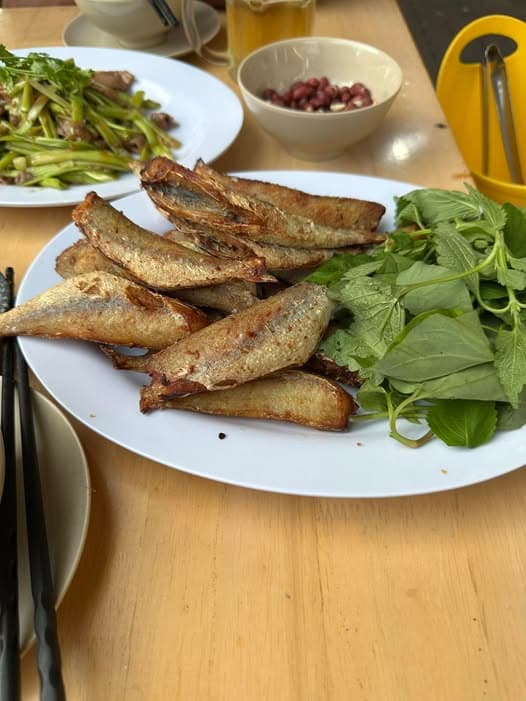 Bán đất Tt. Đất Đỏ, H. Đất Đỏ, T. Bà Rịa - Vũng Tàu